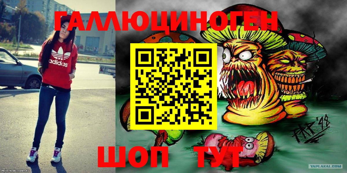 Галлюциногенные грибы Psilocybe Старая Русса