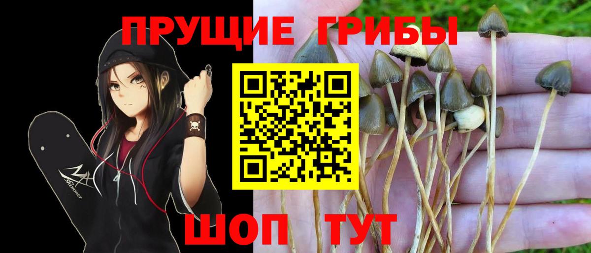 Старая Русса  Галлюциногенные грибы мухоморы  Вход с VPN 